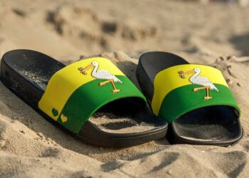 Nu verkrijgbaar: De Haagse ooievaar slippers!